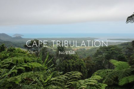 Visit Cape Tribulation, where the rainforest meets the ocean, Australia