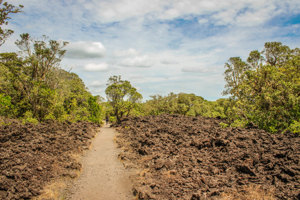 The volcanic landscape of Rangitoto Island