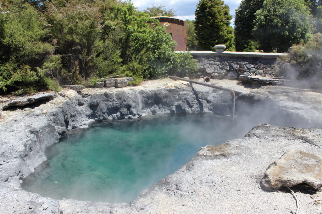 Steam rises from geothermal pools in Rotorua, New Zealand