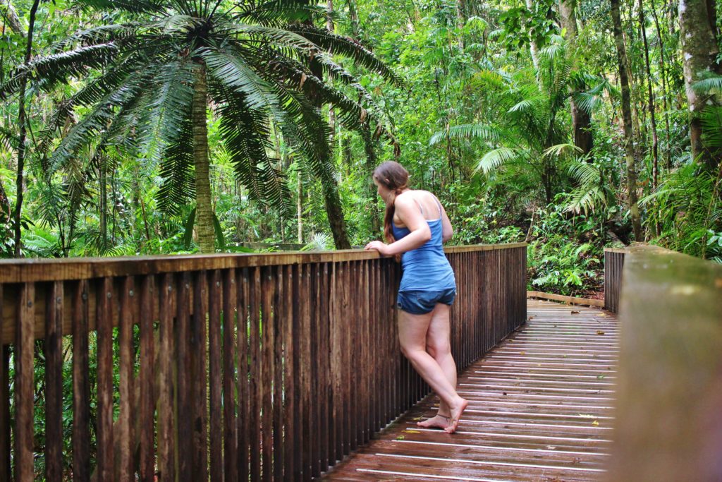 The Jindalba boardwalk is a beautiful walk through the Daintree Rainforest, a reason to visit Cape Tribulation, Queensland