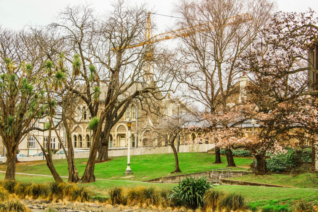 Cranes above the city skyline in Christchurch