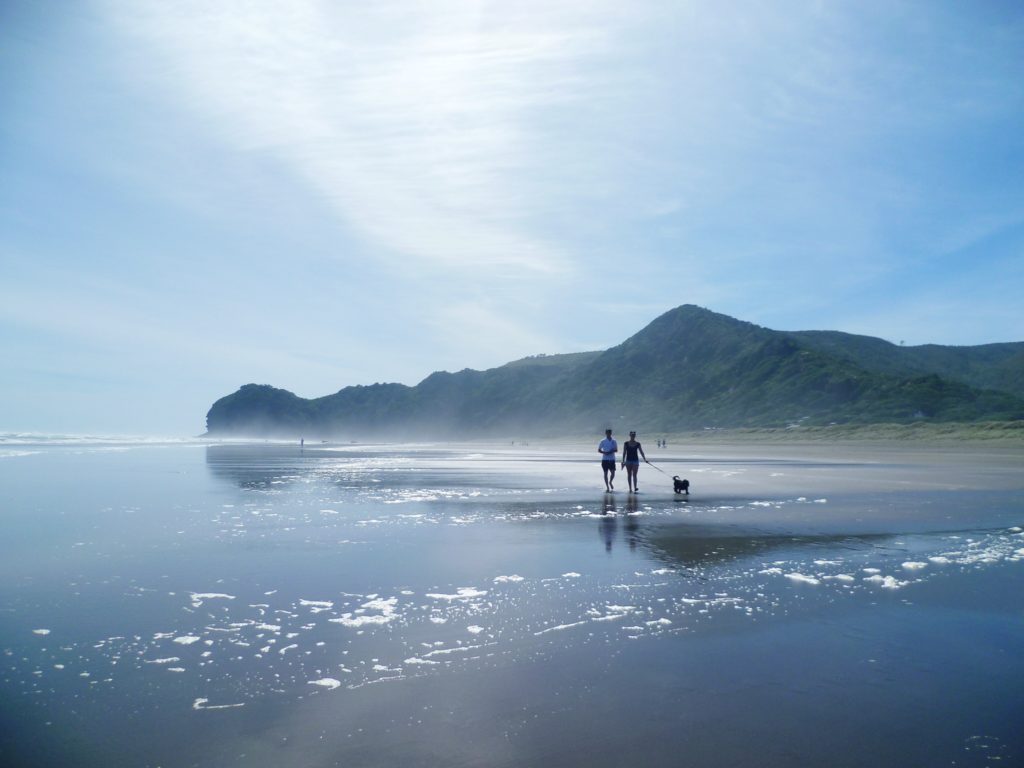 Walking along Piha Beach, one of the best New Zealand destinationsZaland