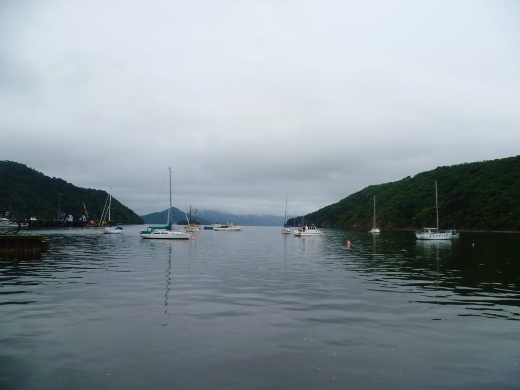 The pretty marina at Picton, on the northern tip of the South Island