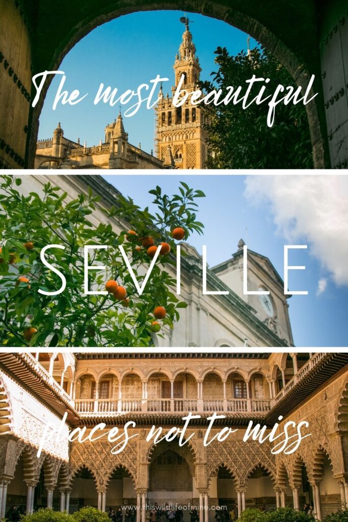 The most beautiful places in Seville you must visit