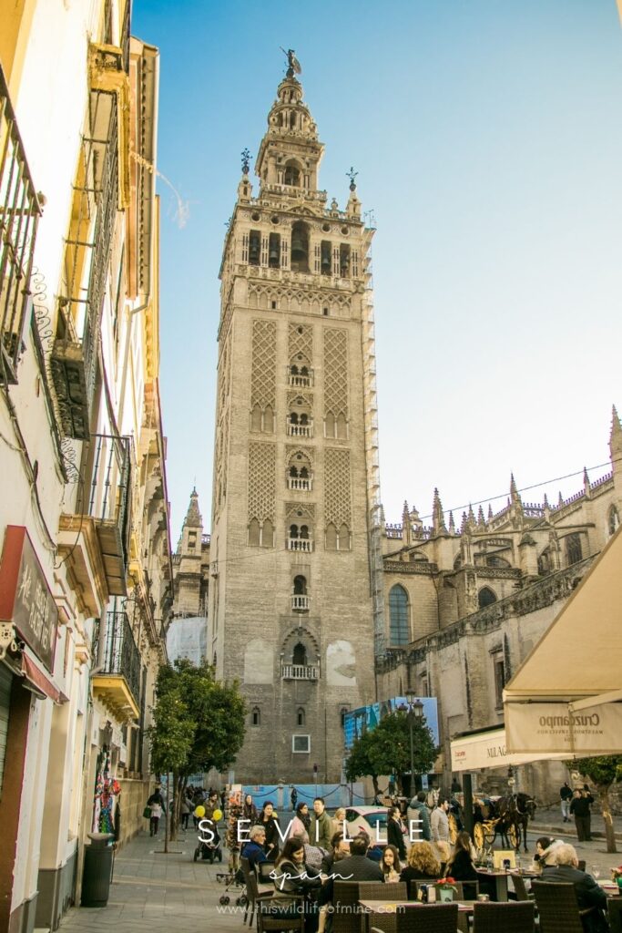The most beautiful places in Seville you must visit