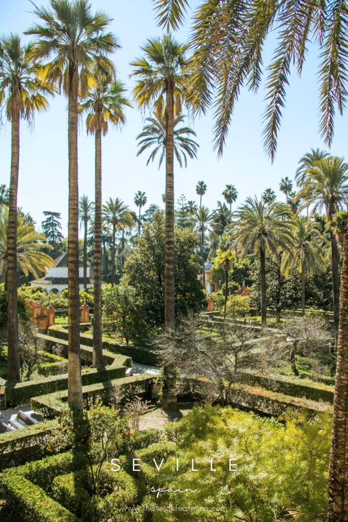 The most beautiful places in Seville you must visit