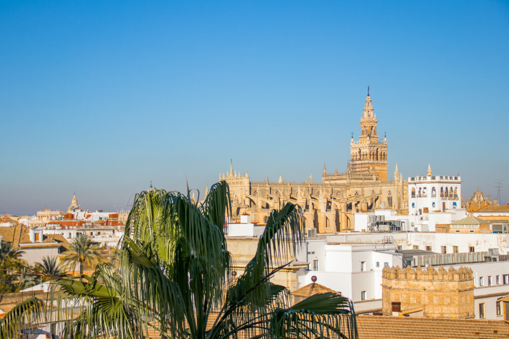 Seville's cathedral towering above the city seen from another tower by the river