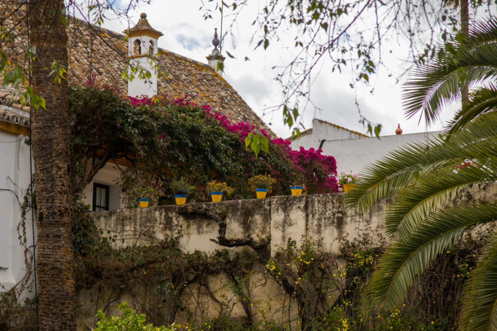 The ivy-covered Palacio de las Duenas in Seville is a beautiful Renaissance palace