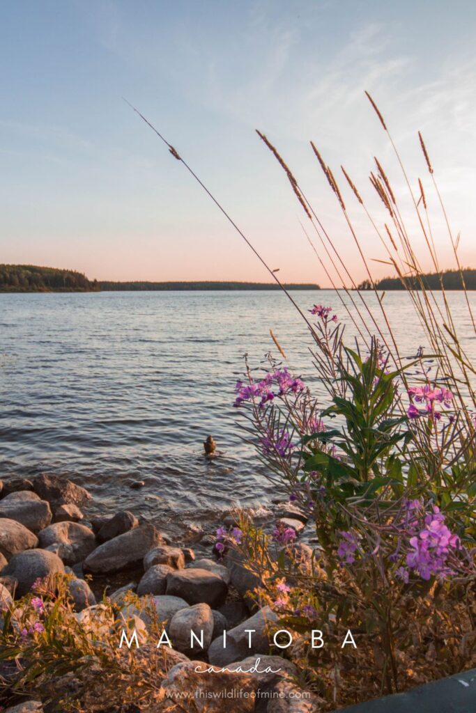 My favourite Manitoba destinations, Canada