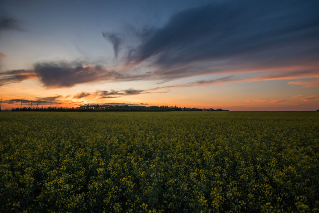 Sunset over the flat land of Manitoba