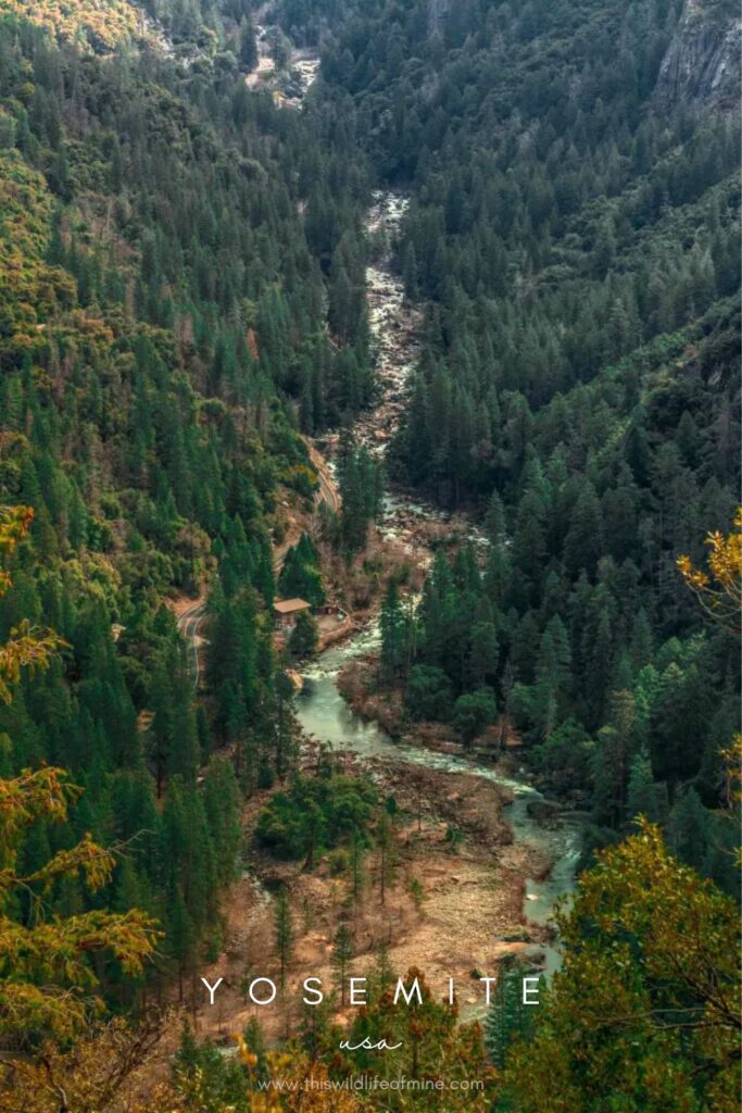 The most beautiful photo spots in the Yosemite Valley