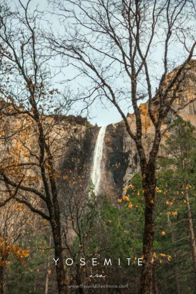 The most beautiful photo spots in the Yosemite Valley