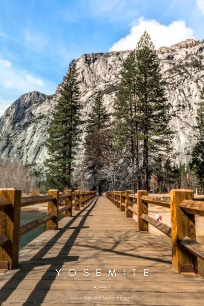 The most beautiful photo spots in the Yosemite Valley