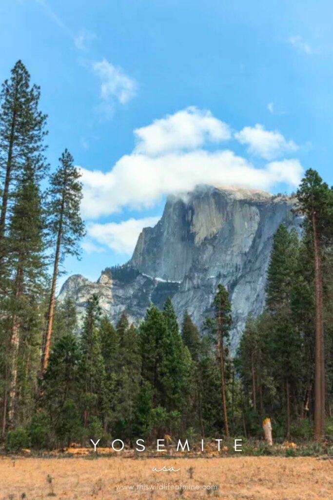 The most beautiful photo spots in the Yosemite Valley