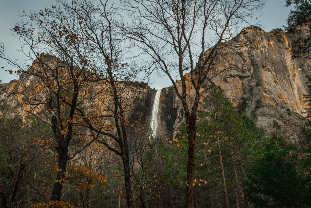Bridalveil Fall through the trees