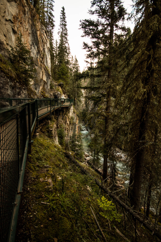 The boardwalk in Johnston Canyon near Banff often clings to the side of the canyon, high above the river