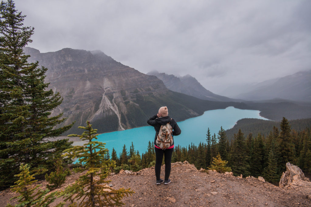 The beautiful colour of Peyto Lake as seen from the viewpoint high above. This lake is a perfect addition to any Banff Bucket List