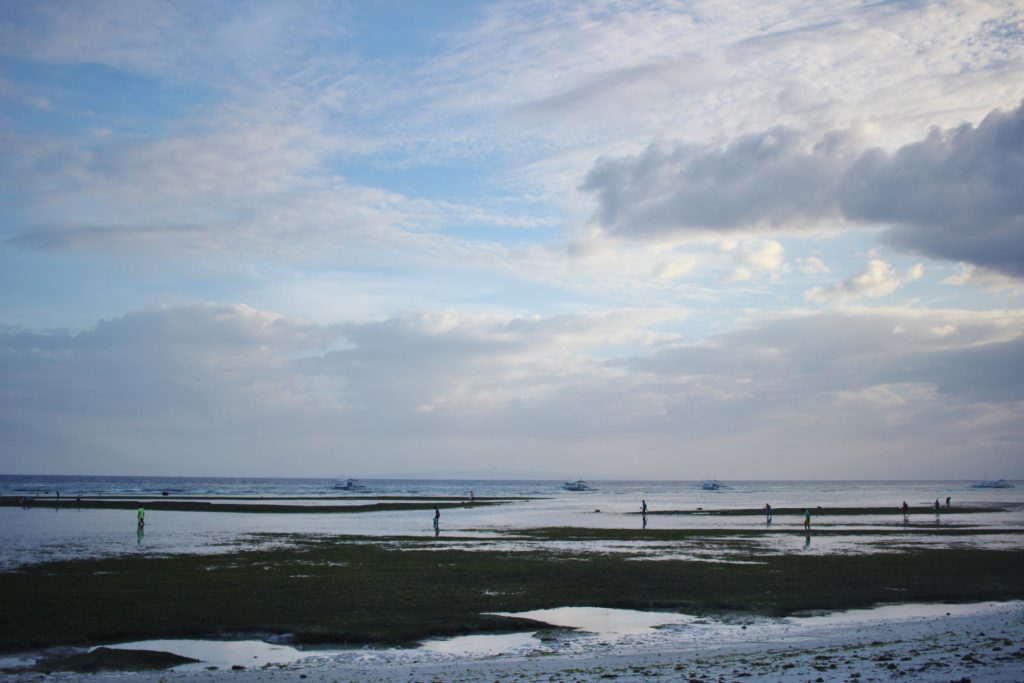 Locals search Alona Beach for crustaceans, in the Philippines