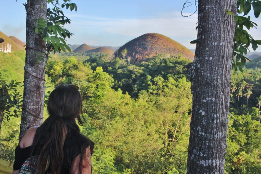 The brown Chocolate Hills rise from the forest in the cetnre of Bohol in the Philippines