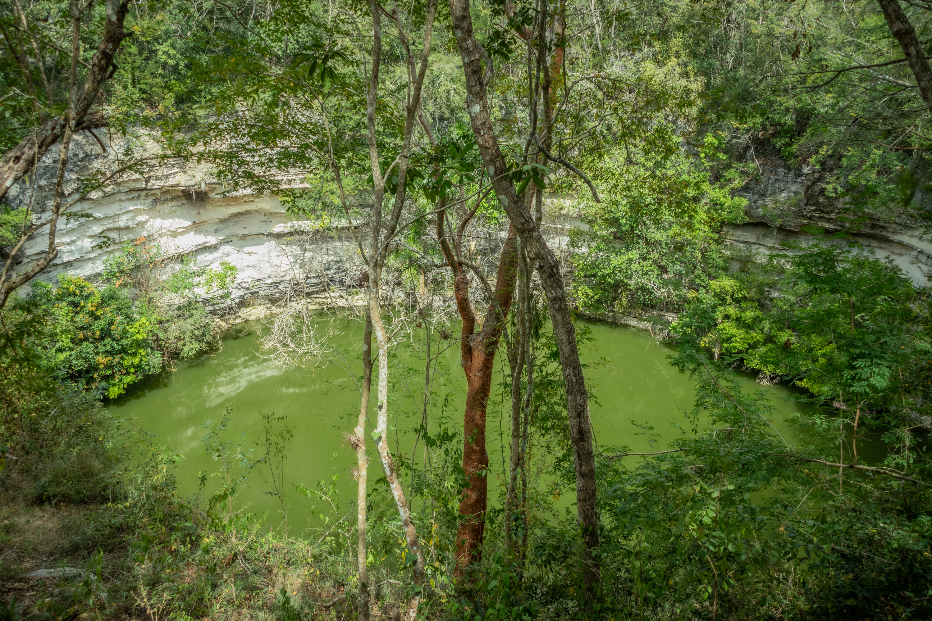 The Sacred Cenote at Chichen Itza, where the Mayans sacrificed animals and people to their gods