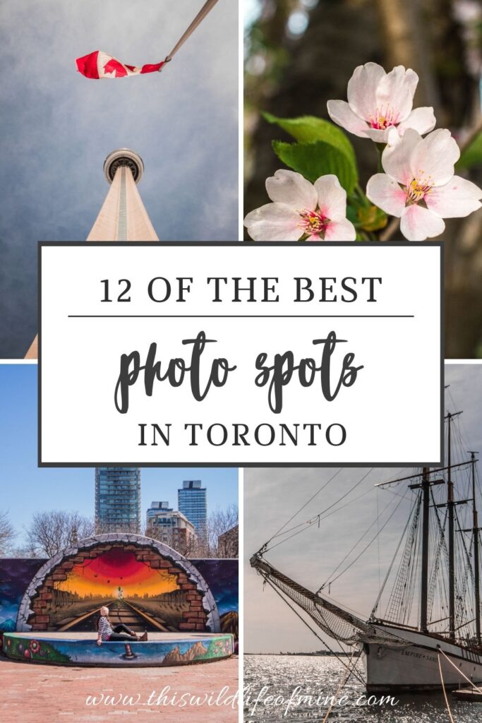 12 of the best photos spots in Toronto, Canada