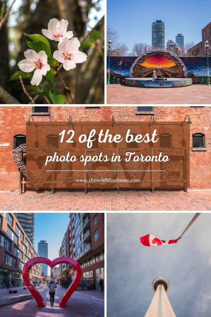 12 of the best photos spots in Toronto, Canada