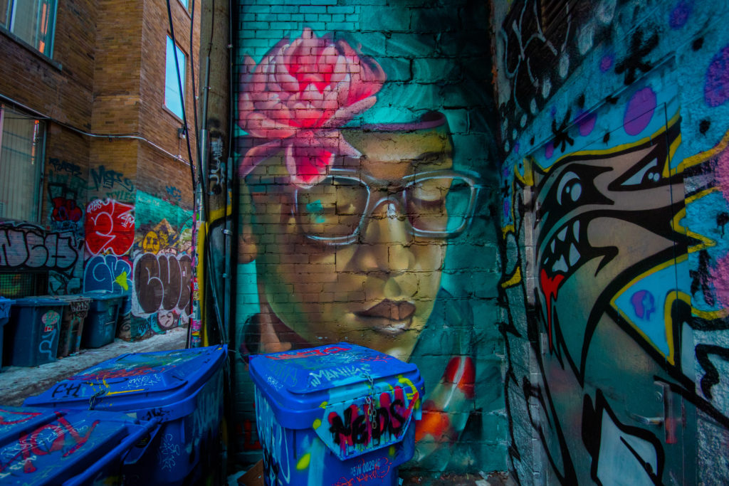 Close up of street art in Toronto's Rush Lane