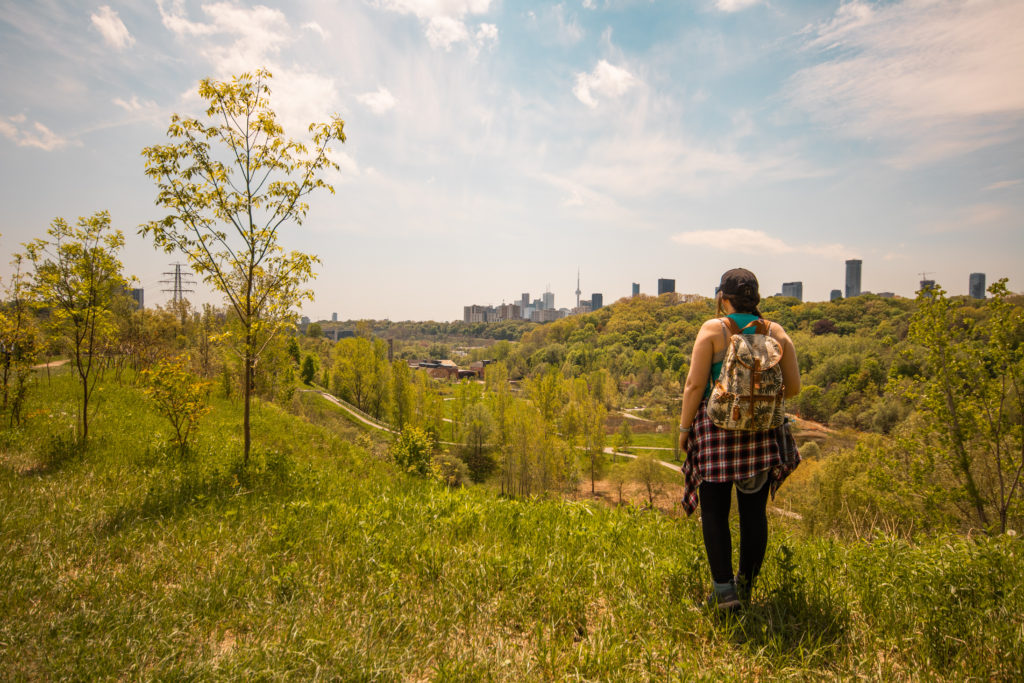 The skyline of Toronto in the distance over green hills at the Evergreen Brickworks