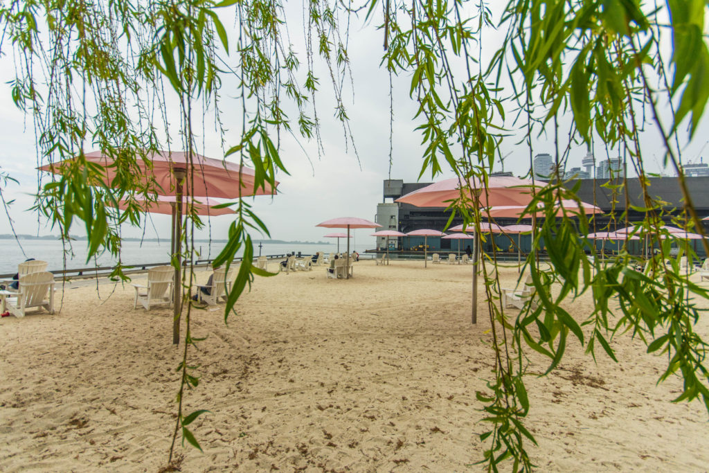 The pink umbrellas of Sugar Beach seen through a curtain of green foliage
