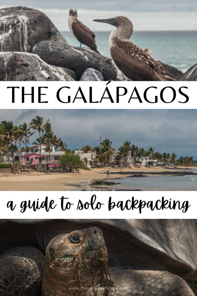 Your guide to solo backpacking in the Galápagos Islands, Ecuador