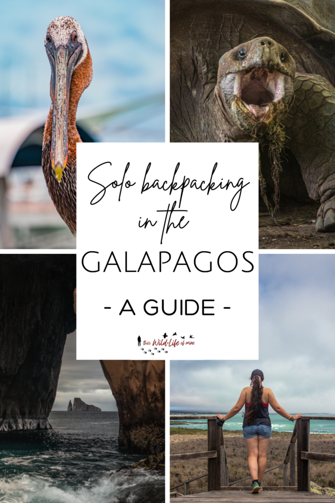 Solo backpacking in the Gapagagos - a guide, by This Wild Life Of Mine
