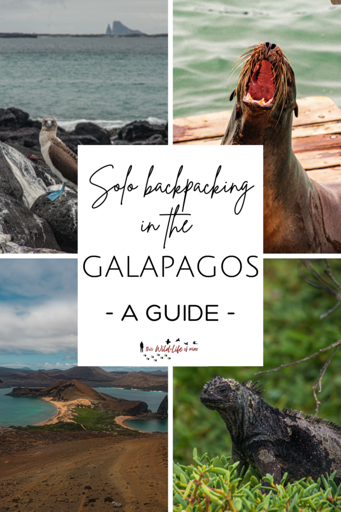 Solo backpacking in the Gapagagos - a guide, by This Wild Life Of Mine