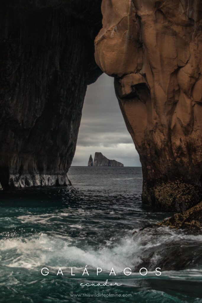 Your guide to solo backpacking in the Galápagos Islands, Ecuador