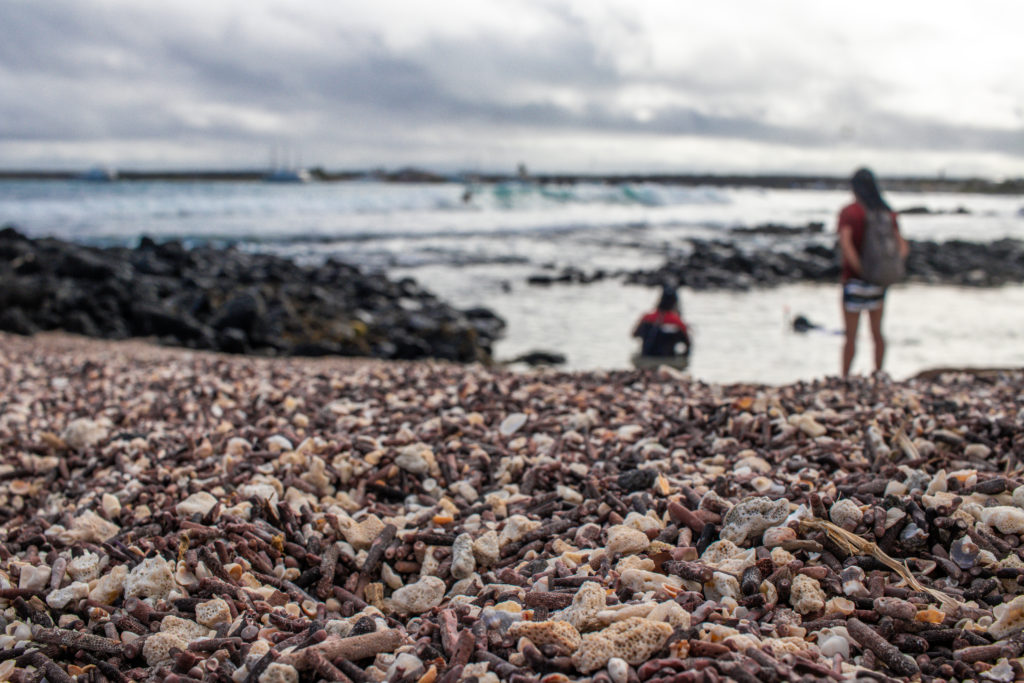 Image of a beach with the pebbles in close up and two blurred figures at the water