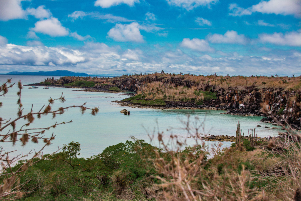 The view over a bay on Santa Cruz, with a shipwreck in the water
