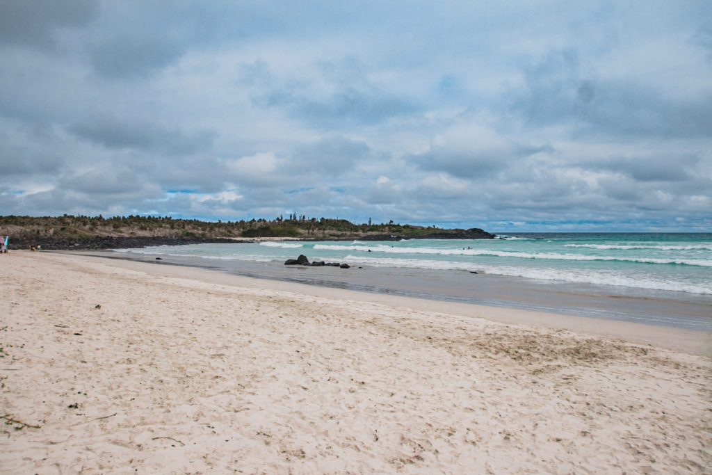 Tortuga Bay is one of the most beautiful places on Santa Cruz in the Galapagos