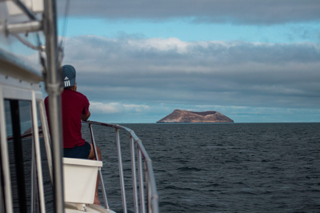 Daphne Major, a volcanic cone rising from the ocean, approached by boat