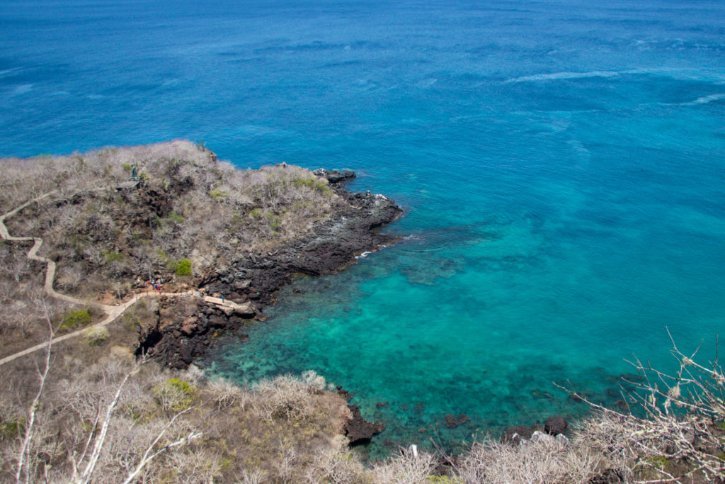 A small cove seen from above with very clear blue water - one of the best places to go snorkelling while solo backpacking in the Galapagos