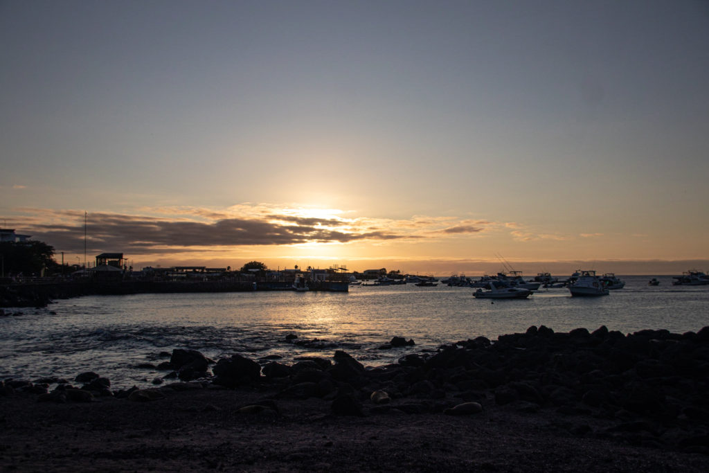 Sunset over the harbour in San Cristóbal, the Galapagos, sea lions and rocks on the beach in the foreground