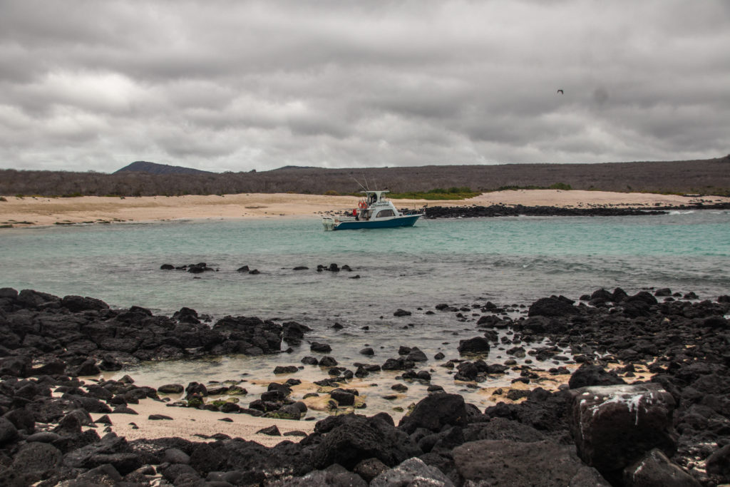 A boat moored in a small bay in the Galapagos, surrounded by golden sand and black volcanic rock