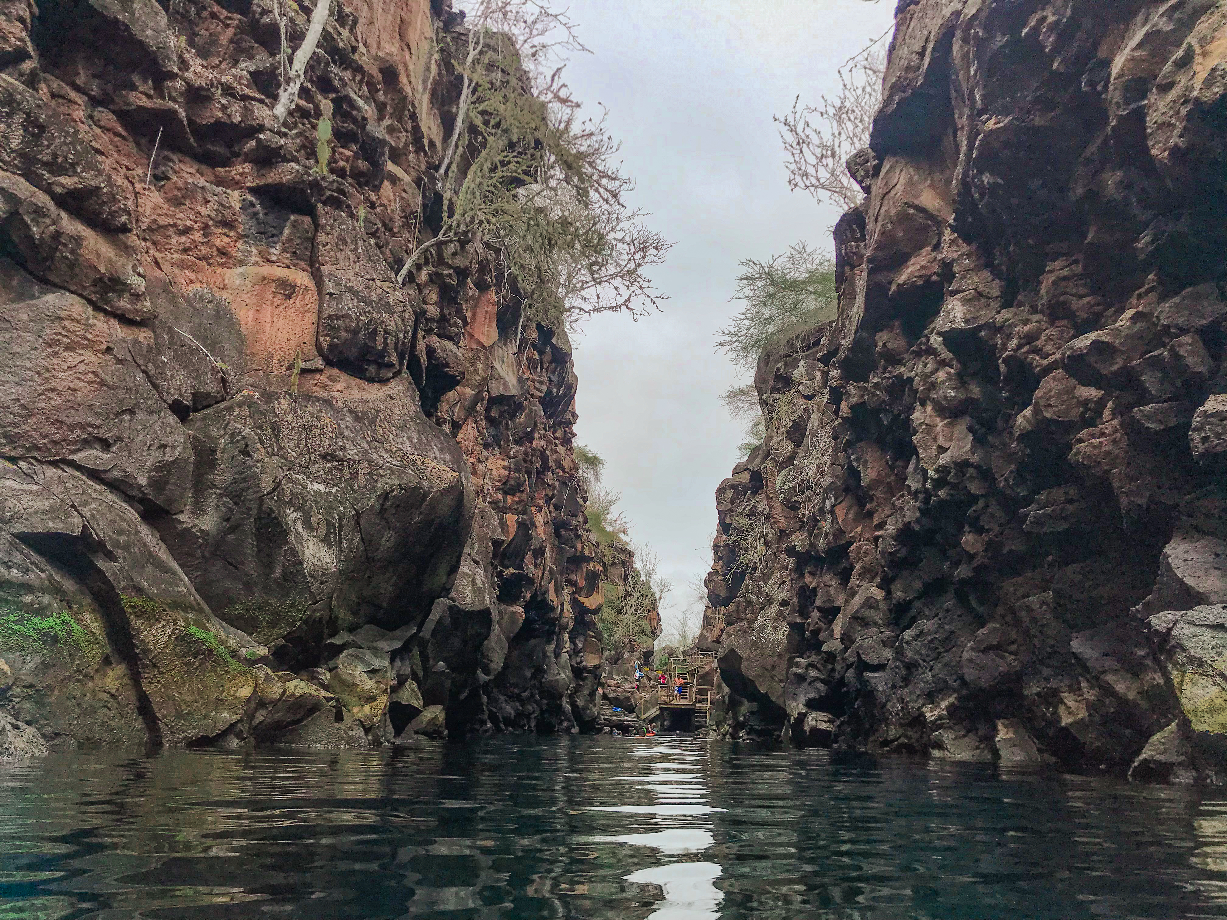 Las Grietas is a crack in the earth filled with water in which you can swim while solo backpacking in the Galapagos