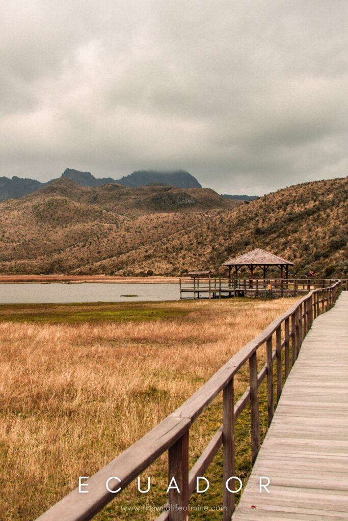 Two weeks in Ecuador - two epic itineraries