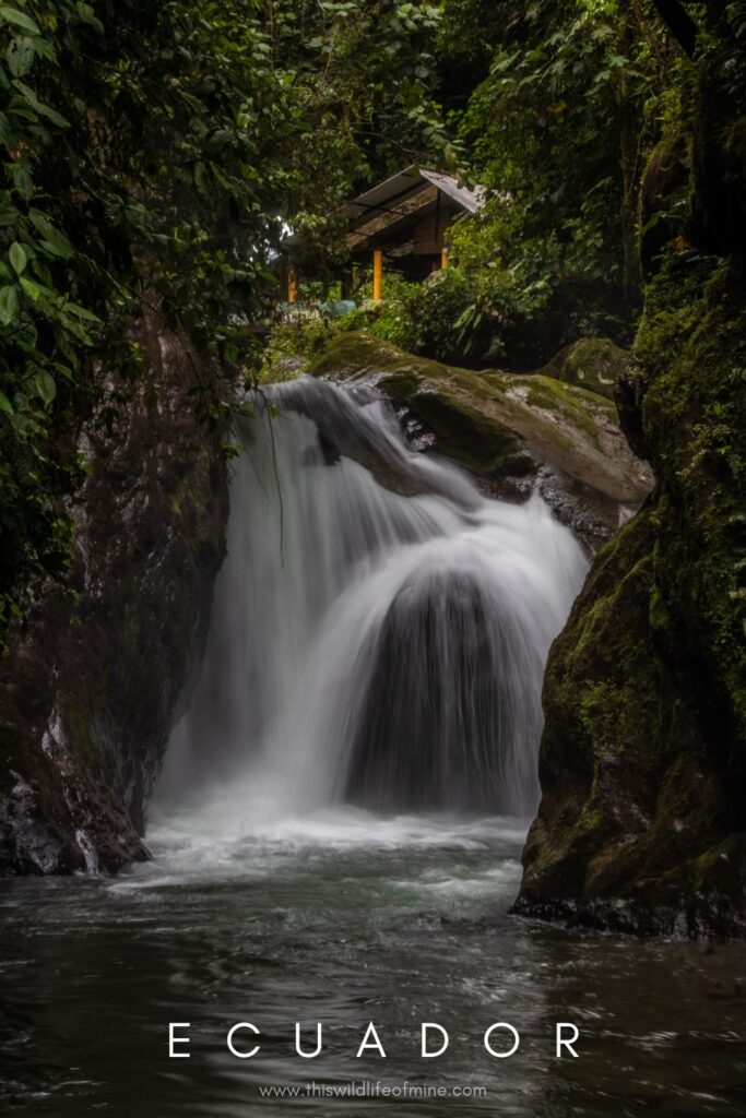 Two weeks in Ecuador - two epic itineraries