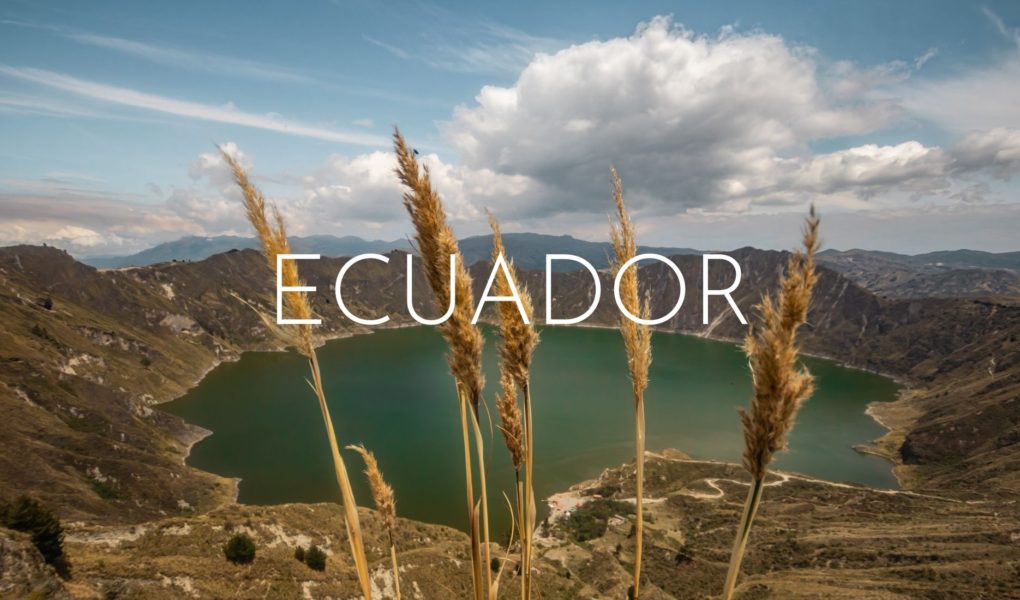 A green lake inside a large volcano crater, stalks of dry grass in the foreground, overlaid with the word Ecuador