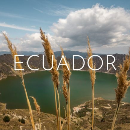 A green lake inside a large volcano crater, stalks of dry grass in the foreground, overlaid with the word Ecuador