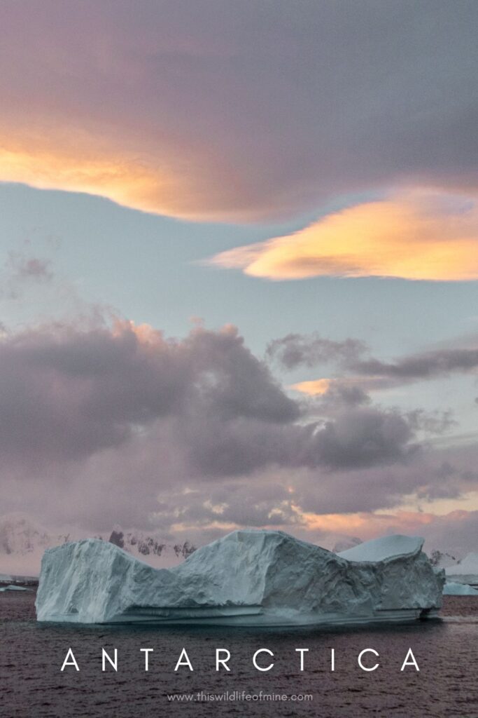 Five reasons to visit Antarctica as a solo backpacker (and five not to)