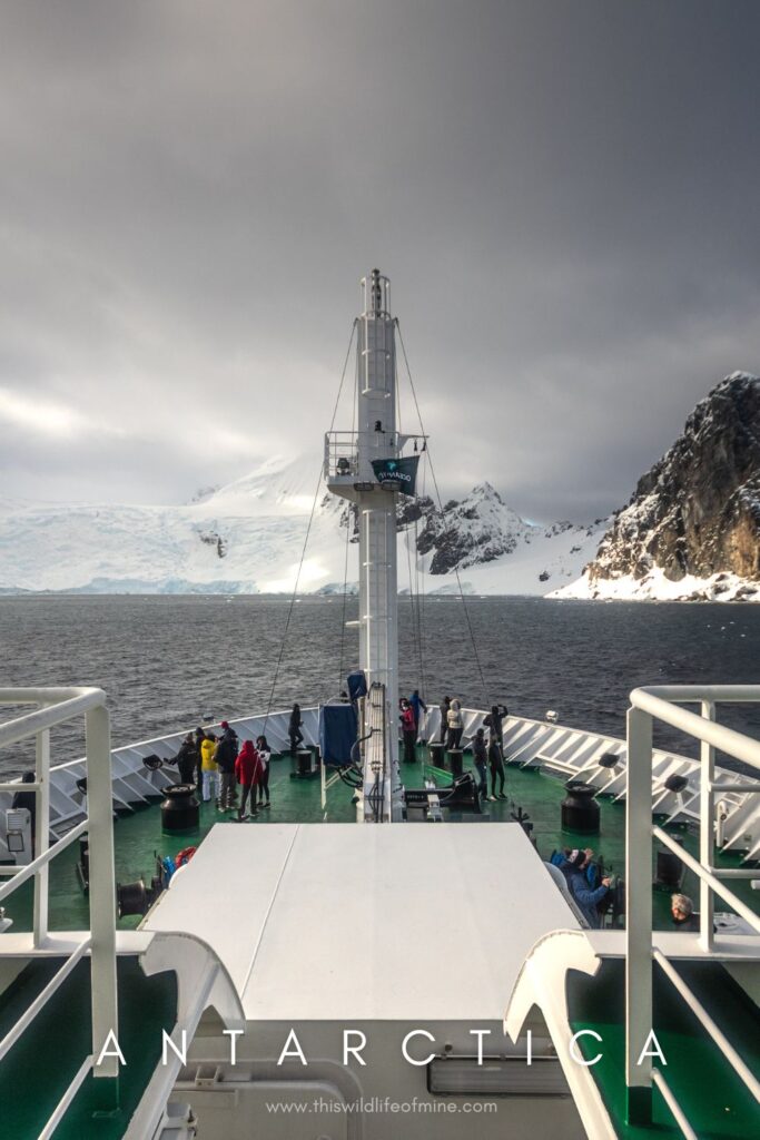 Five reasons to visit Antarctica as a solo backpacker (and five not to)