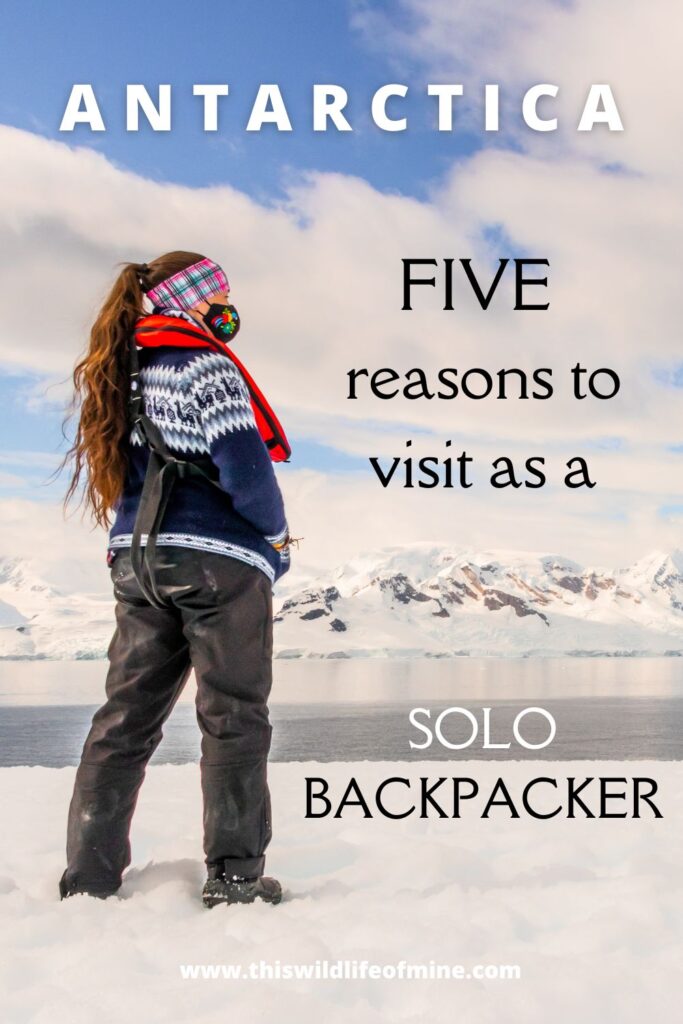 Five reasons to visit Antarctica as a solo backpacker (and five not to)