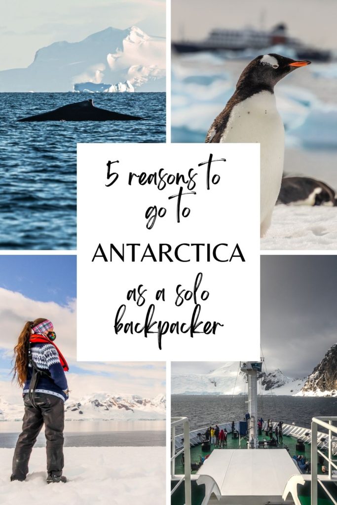 5 reasons to visit Antarctica as a solo backpacker