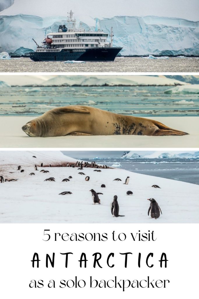 5 reasons to visit Antarctica as a solo backpacker